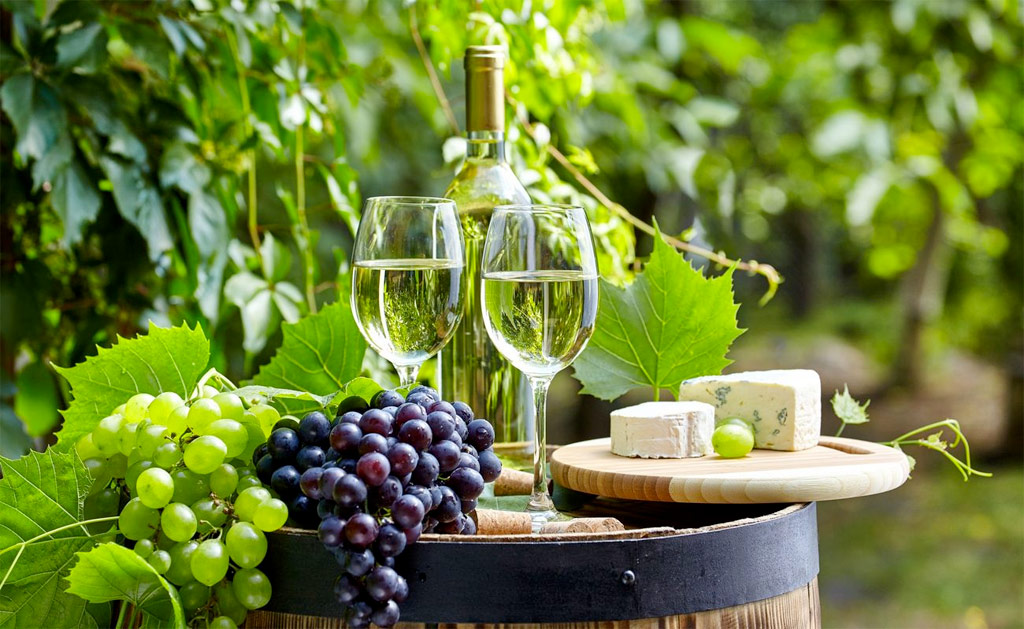 Transfer tour degustazione vini corso pizza Costiera Amalfitana